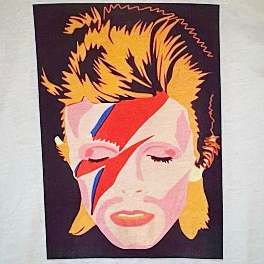 David Bowie Aladdin Sane Ziggy Star Dust Classic Rock Concert Tank Top Shirt 70s